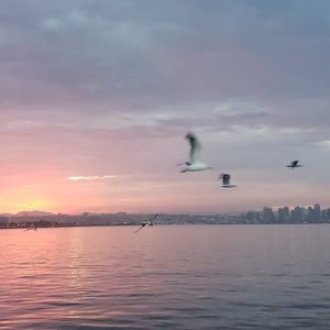 Meet your Posher, Sean